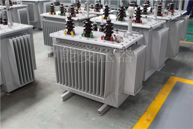 益阳S22-250KVA/10KV变压器